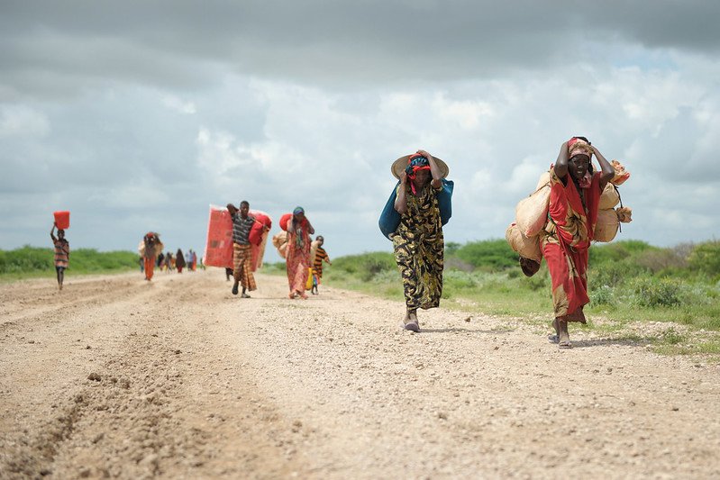 Displaced by Conflict in Somalia.jpg