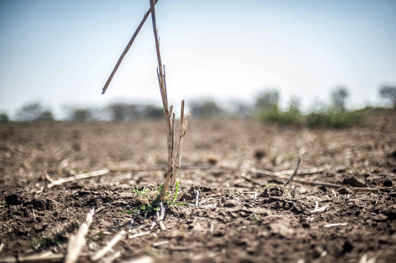 by IFRC, CC BY-NC-ND 2.0